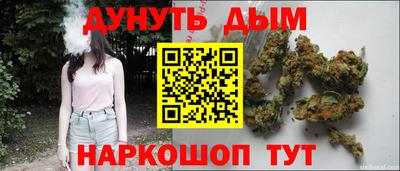 гидра Краснокаменск