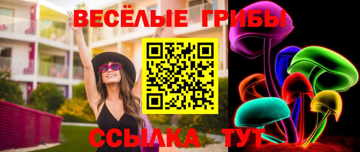 Галлюциногенные грибы Magic Shrooms  Псилоцибиновые грибы Cubensis  Кольчугино  Вход с VPN 